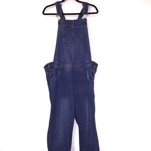 Planet Motherhood Vintage Overalls